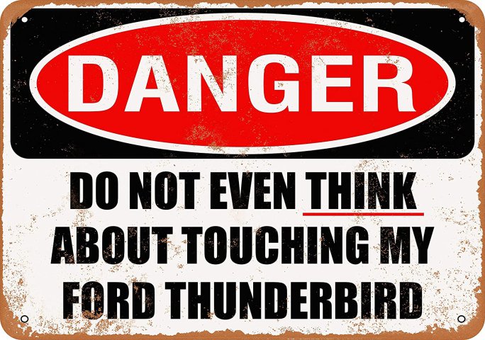 ford-thunderbird-don't-touch.jpg
