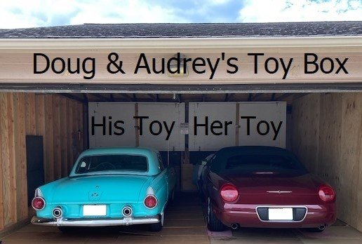 Doug & Audrey's Toy Box - 2.jpg