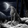 Lonewolf17