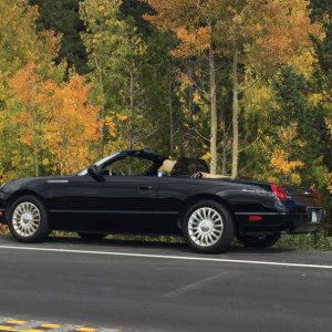 Fall Foilage Late model Ford Thunderbird