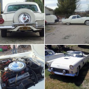 Colonial White 1956 Ford Thunderbird