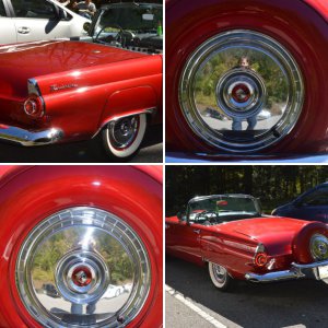 1956 Ford Thunderbird Cades Cove, Tennessee