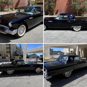 1957 Ford Thunderbird Raven Black California Black License Plate