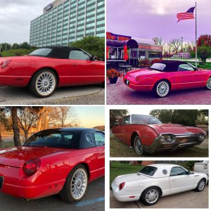 Show us your Ford Thunderbird Rides