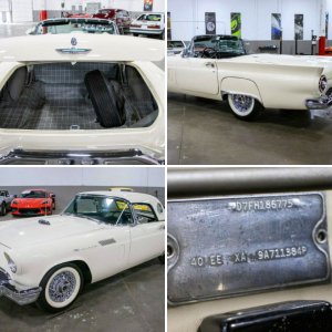 1957 ford Thunderbird- Colonial White
