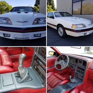 Low mileage 1988 Ford Thunderbird Turbo Coupe 5-Speed