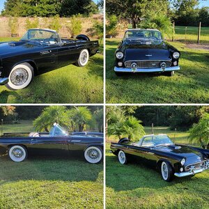 Tracey Brown's 1956 TBird