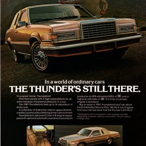 1981 Ford Thunderbird Ad