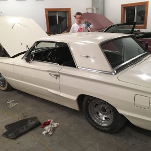 1966 428 Project Car