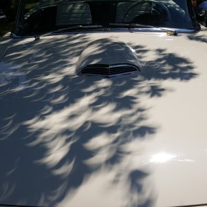 Eclipse Crescent Shaped Shadows
