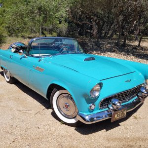 1956 Thunderbird
