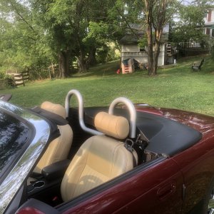 Roll Bar completed