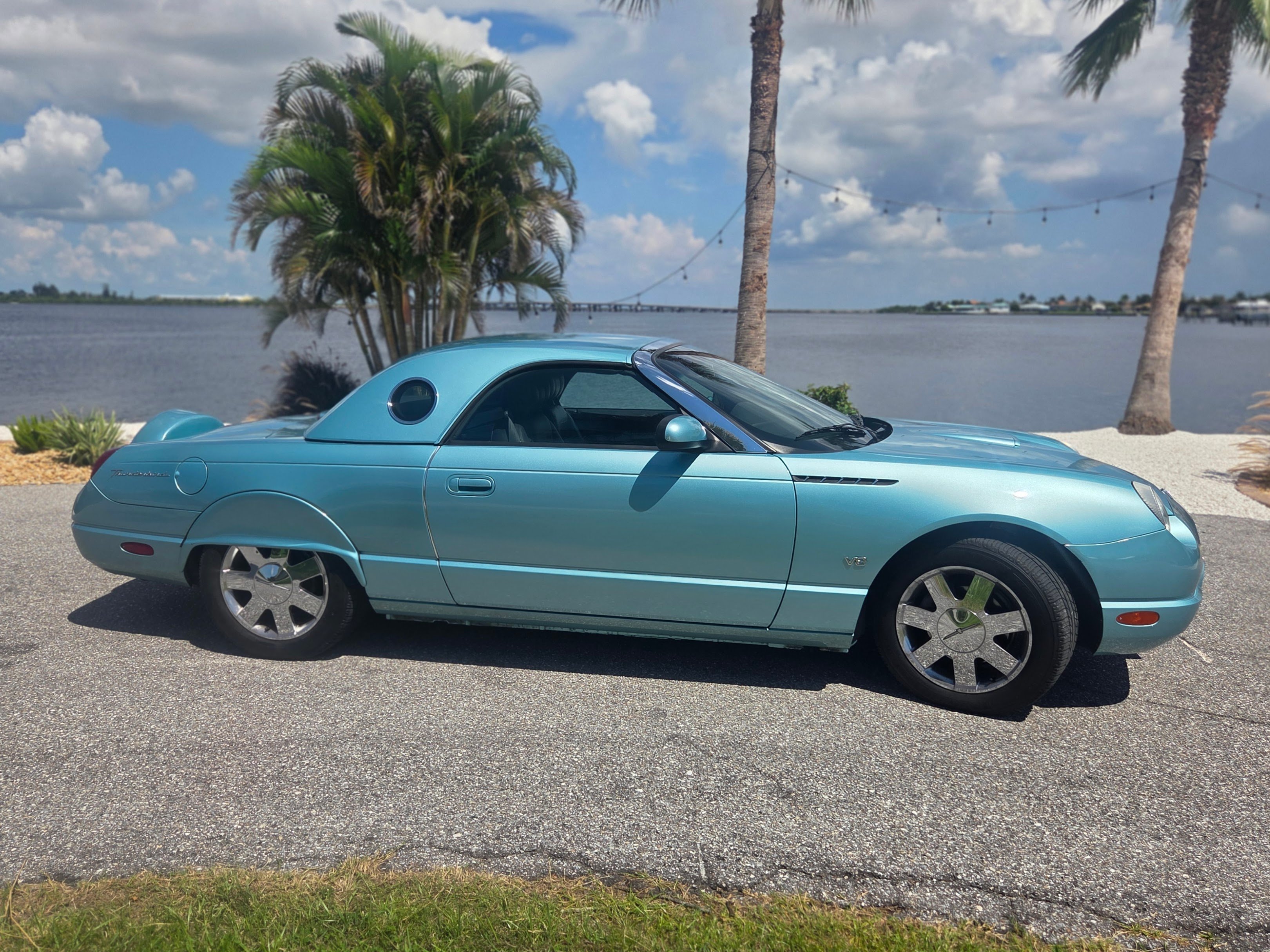 02 T-Bird right profile