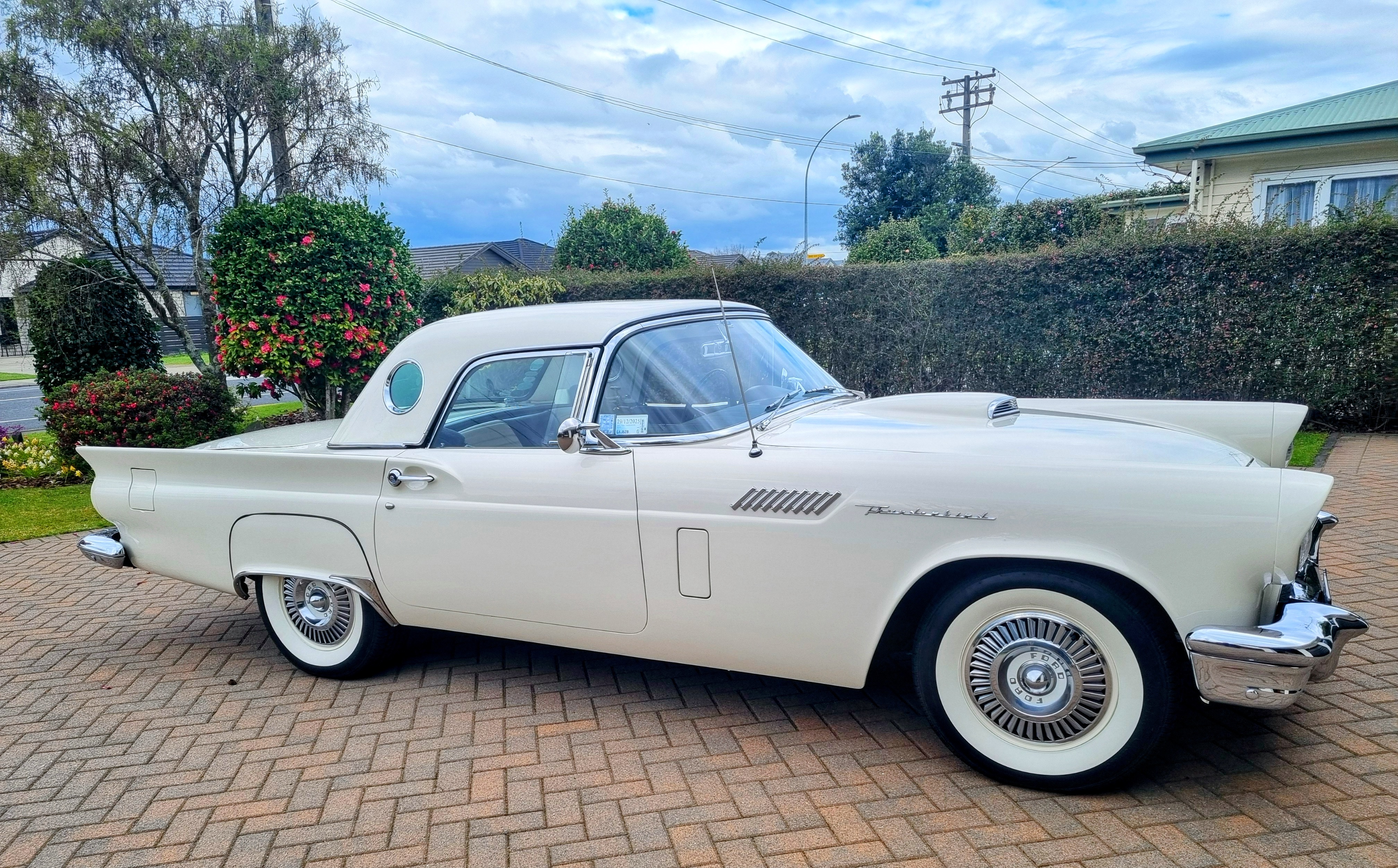 20250909_152812 Copy Copy.jpeg