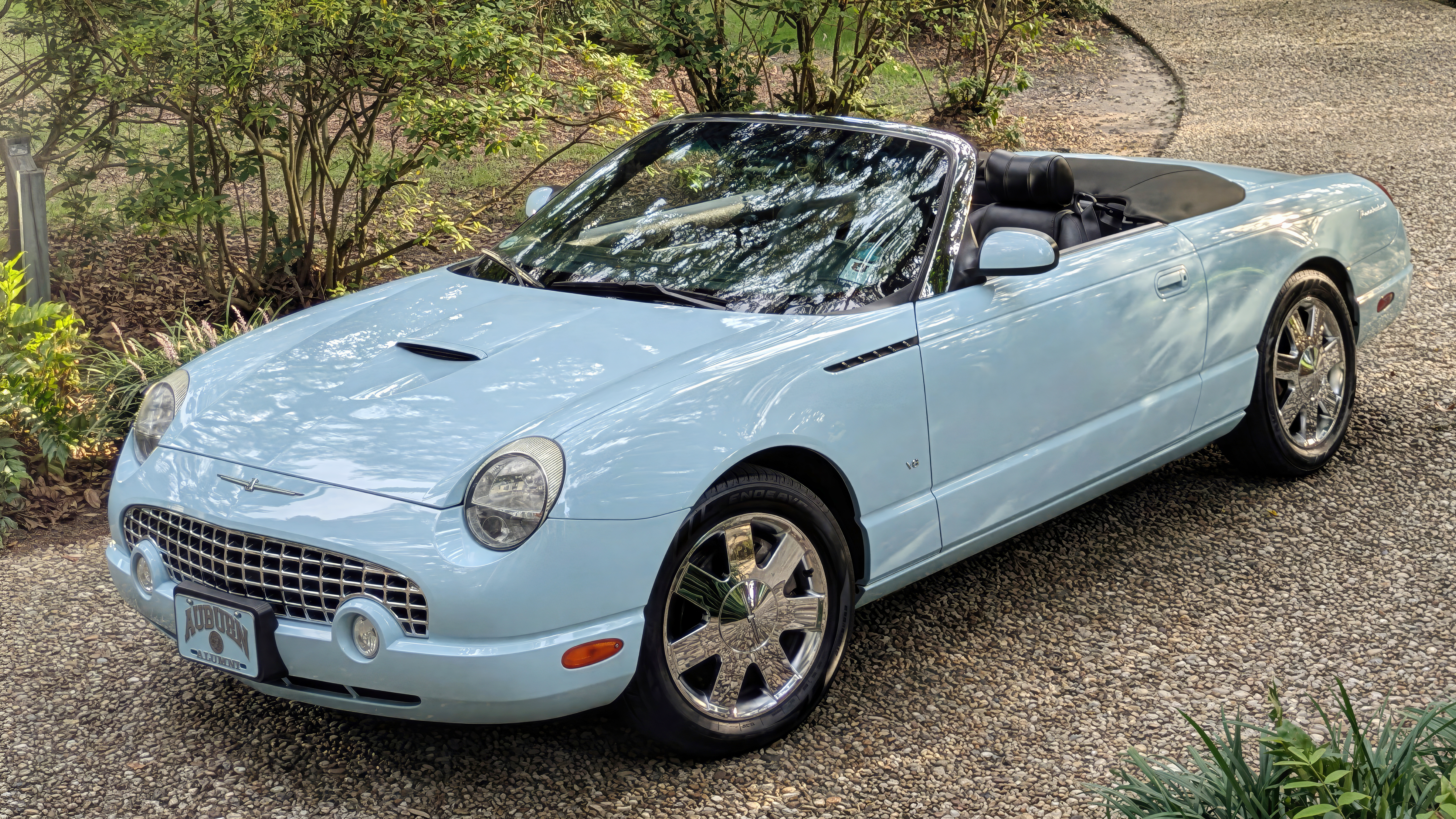 T-bird Wedding-16-9.png