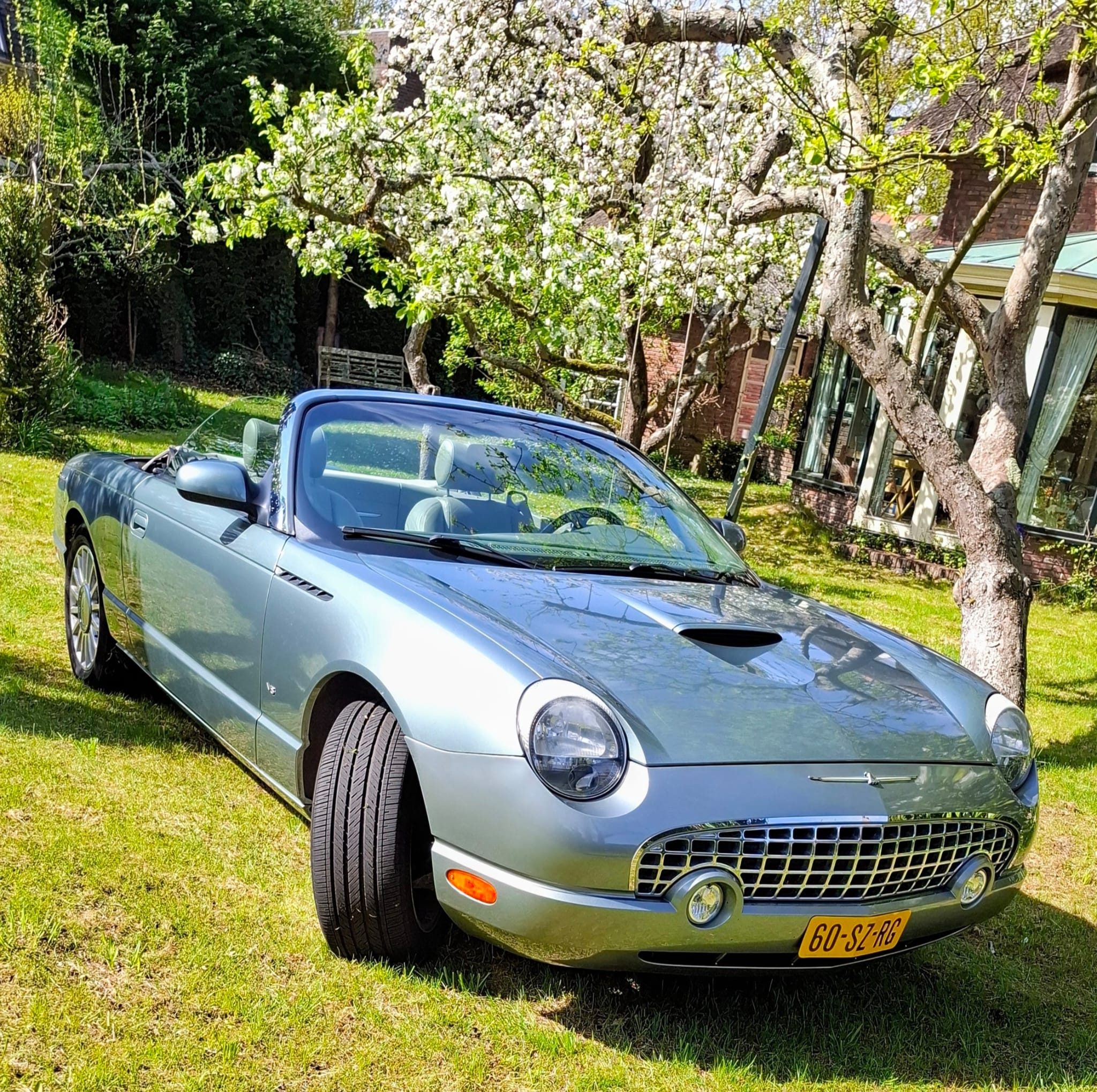 WhatsApp Image 2025-07-14 at 19.42.12_bae88e9f.jpg